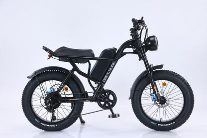 🚴‍♂️ Professional E-Bike 750W ! ⚡