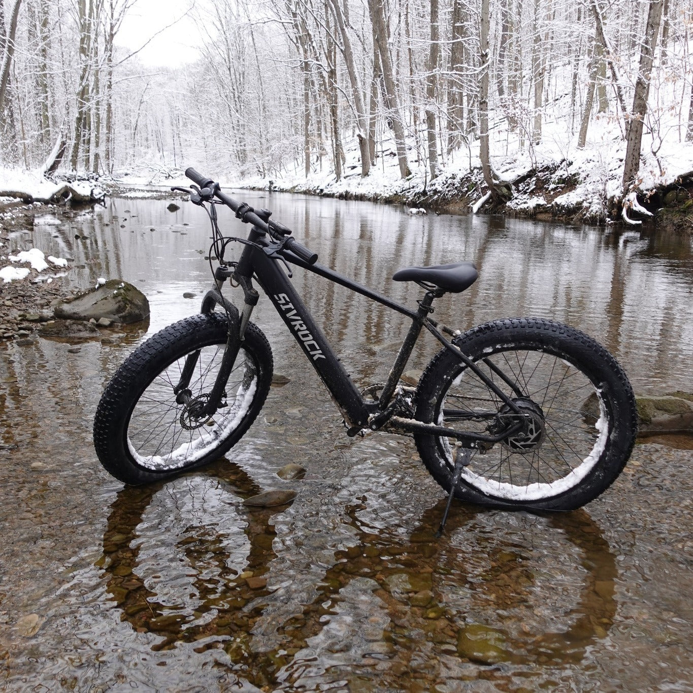 🚴‍♂️Professional E-FatBike 1000W🚀