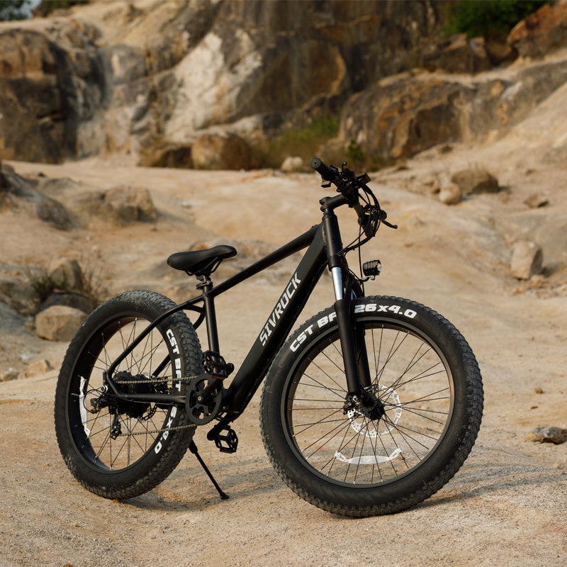 🚴‍♂️Professional E-FatBike 1000W🚀